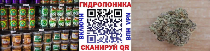 Cannafood конопля  наркошоп  Воронеж 