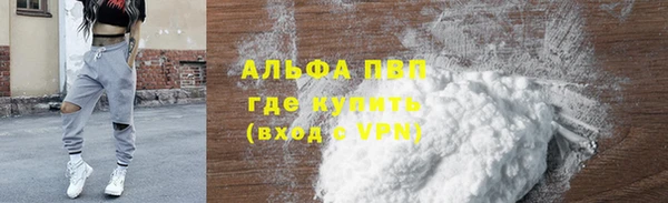 шишки Богородицк
