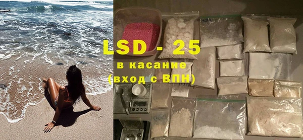 шишки Богородицк