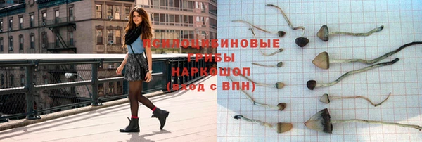шишки Богородицк