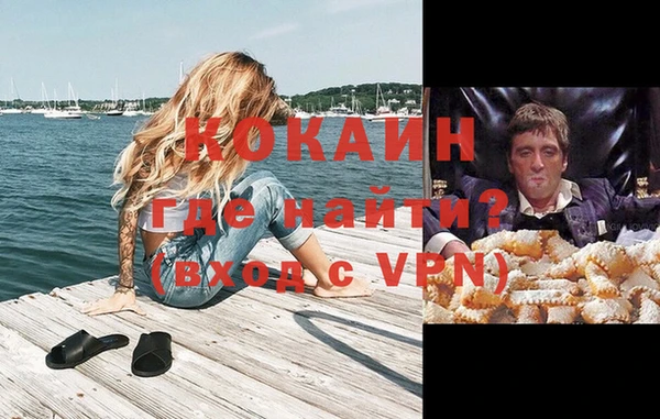 шишки Богородицк