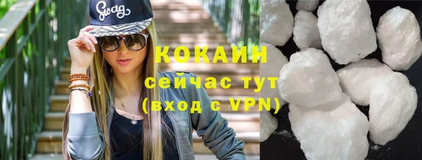 шишки Богородицк