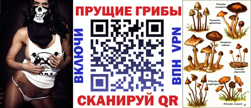 Псилоцибиновые грибы Psilocybine cubensis  Воронеж 